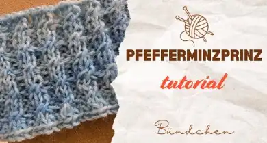 Sockenb&uuml;ndchen Pfefferminzprinz stricken