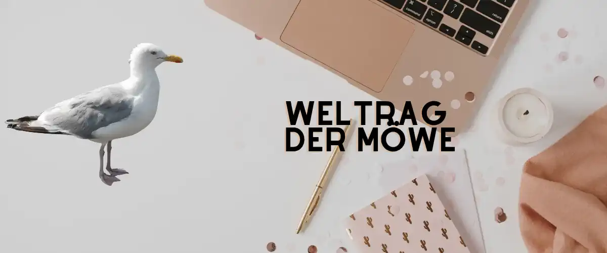 Der Welttag der Möwe