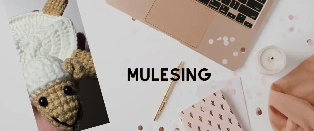 Was ist eigentlich Mulesing