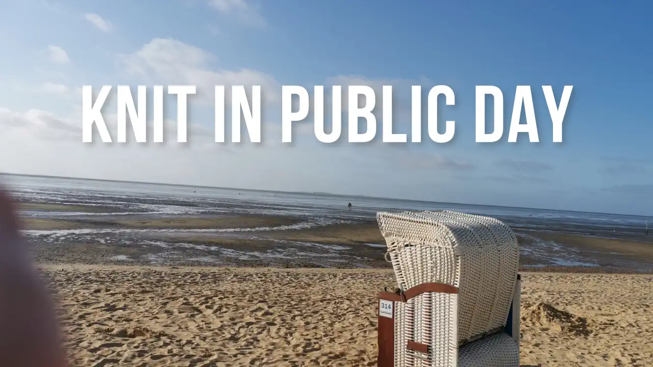 Knit in Public Day