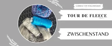 Auf die Plätze, fertig, Drall! Mein Zwischenstand bei der Tour de Fleece 2026