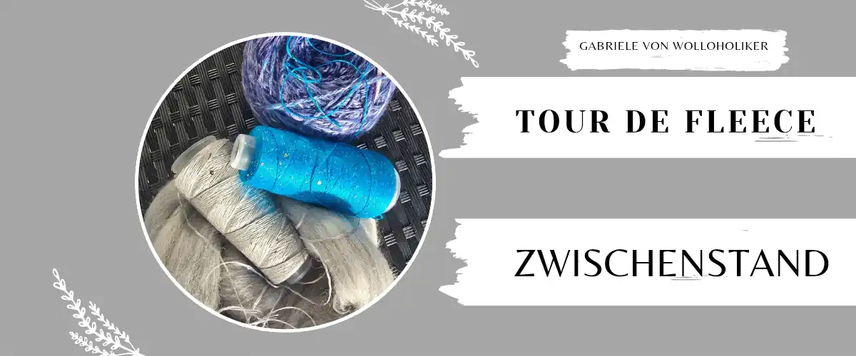 Mein Zwischenstand bei der Tour de Fleece 2026